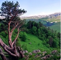 В КРАЙ ГОР И ВОДОПАДОВ (В РАЗРАБОТКЕ)